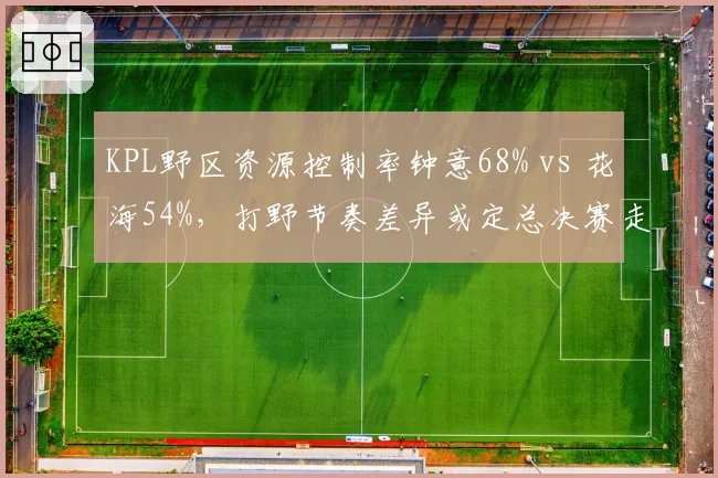 KPL野区资源控制率钟意68% vs 花海54%,打野节奏差异或定总决赛走向
