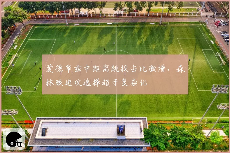 爱德华兹中距离跳投占比激增，森林狼进攻选择趋于复杂化